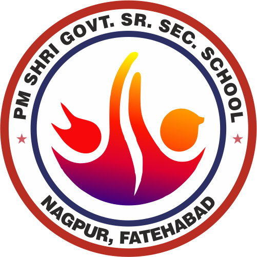 PMSGGSSS-BHATTU KALAN